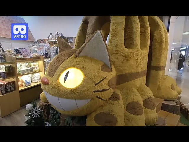 3D 180VR 4K Ride Cat Bus ToToRo Ghibli Studio