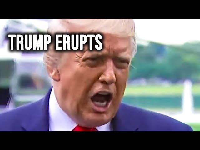 Trump Throws HUGE Fit As MAGA Cries Over Kamala's Resume