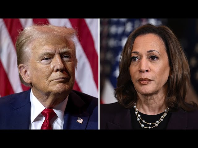 Top election predicter: IT'S OVER for Trump, Kamala wins