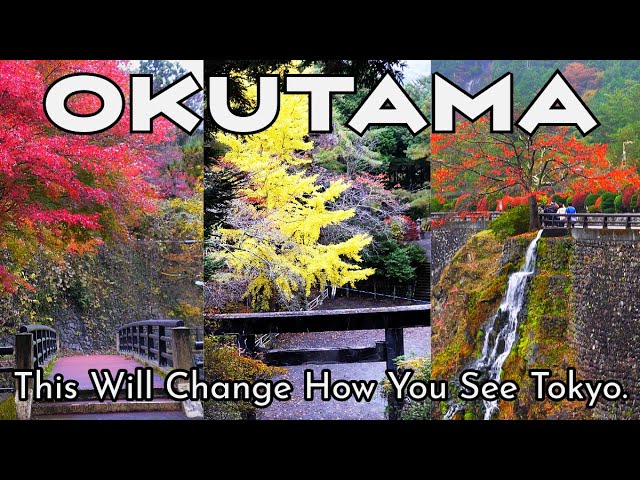 Believe it or not, this is Tokyo! 🍂 Jaw-Dropping Autumn Spots in Okutama Awaits! 🍁