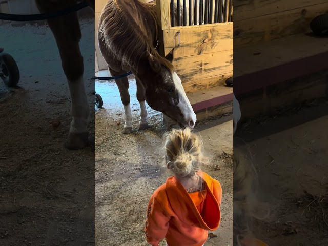 Adorable Toddler Learning About Barn Chores 🤠🥰 #cutekids #horselover