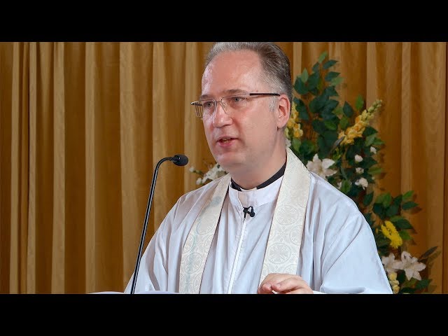 Our Lady, Queen of Freedom: Sermon by Canon Elias Vojtech. A Day With Mary