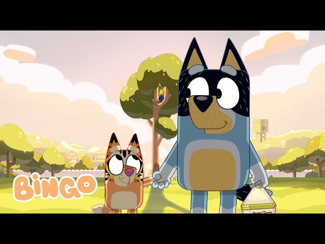 Bandit's Best Moments with Bingo 💙🧡 | Bingo - Official Channel