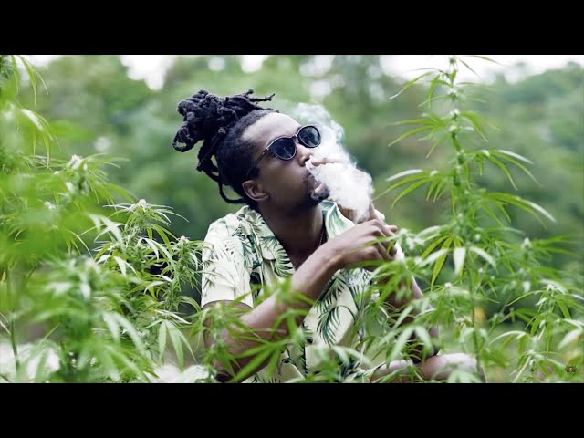 Sublow Hz feat. Frass Groovas - Kush (Official Music Video)