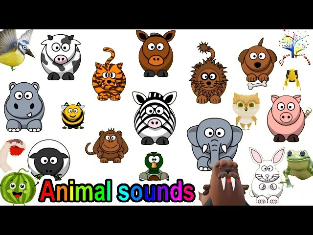 The Animal Sounds Song || Kids Songs and Nursery Rhymes || EduFam ~