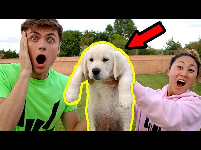 I SURPRISED MY CRUSH WITH A PUPPY!!