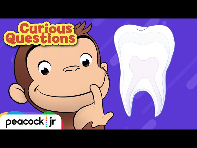 Why Do We Brush Our Teeth? | CURIOUS QUESTIONS