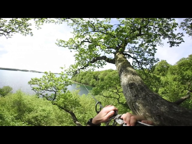 Yodel in nature VR 360°