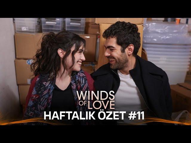 Winds of Love Weekly Summary #11 | Rüzgarlı Tepe Haftalık Kolaj #11