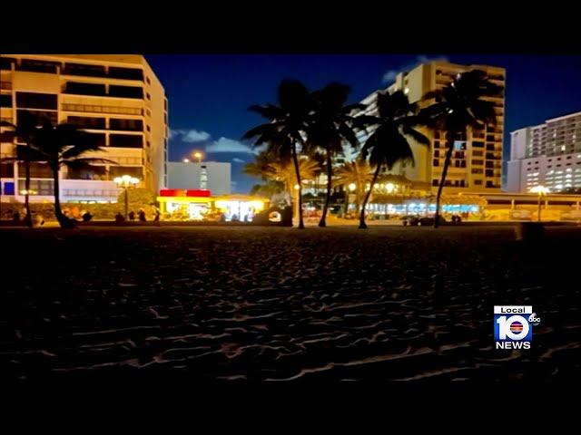 Broward beachfront businesses refuse to comply with sea turtle lighting regulations