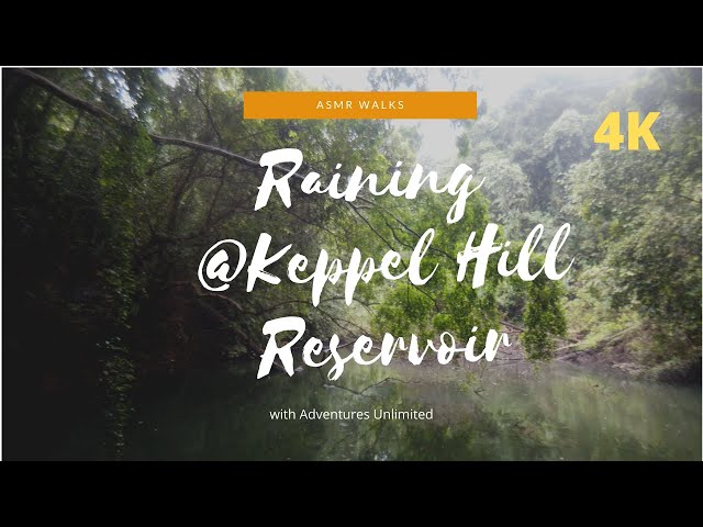 Raining @ Keppel Hill Reservoir | 4K ASMR Rain Walk (for calm, relaxation and meditation)