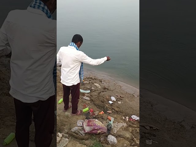 Fishing under yamuna bridge 🎣 @wildlifeseacreatures