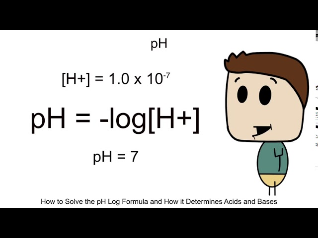 How to Solve the pH Log Formula and How it Determines Acids and Bases - BIOLOGY/CHEMISTRY Part 15