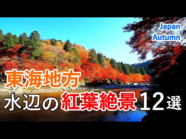 12 Best Views of Waterside Autumn Foliage in Tokai region / Beautiful Scenery of Japan [ 4K ]