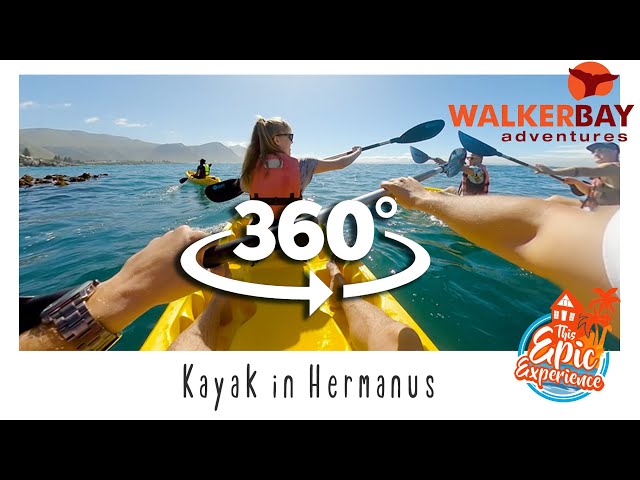 Kayak in 360° Virtual Reality with Walkerbay Adventures from Hermanus