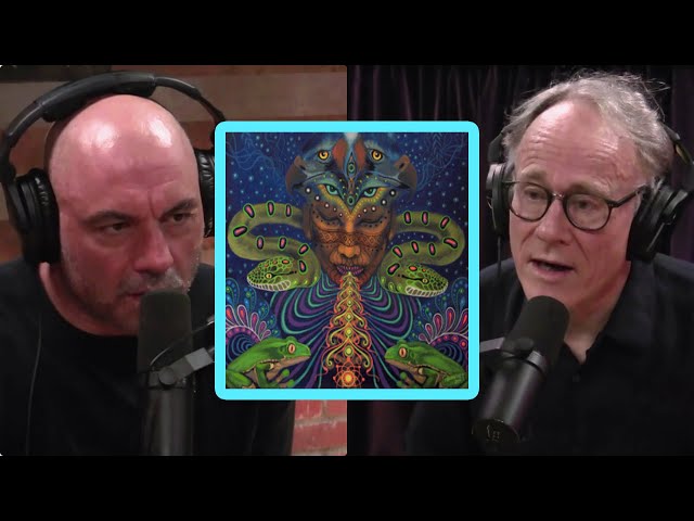 Giving DMT to CHILDREN?! Joe Rogan & Graham Hancock: Ayahuasca Science