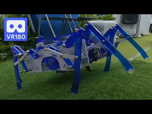 a Spider Robot made by a college student 3D 180VR 4K