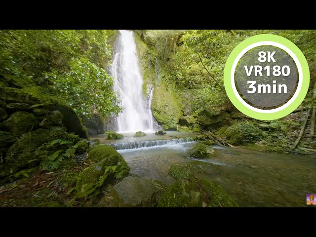 3 Min Meditation The face gets wet from the violent waterfall water VR180 8K Binaural ASMR