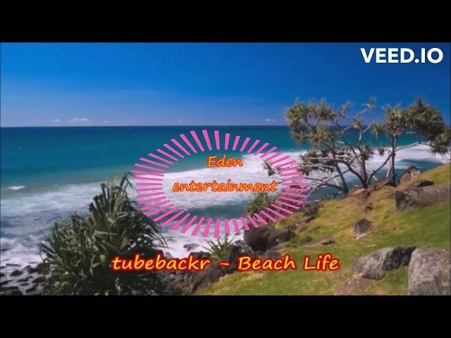 tubebackr - Beach Life | Background Music | Royalty Free Song