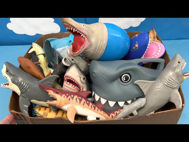 Ultimate Shark Toys Unboxing for Kids: Fun & Educational Sea Animals!