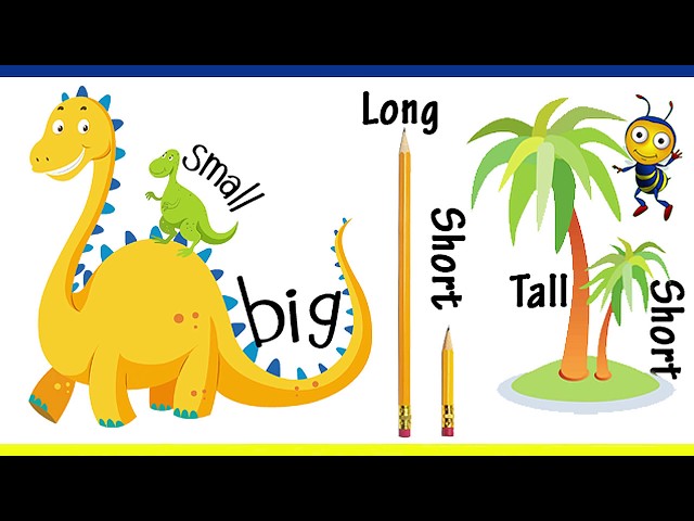 Big And Small For Kids And Children | Comparison for Kids | Learn Pre-School Concepts