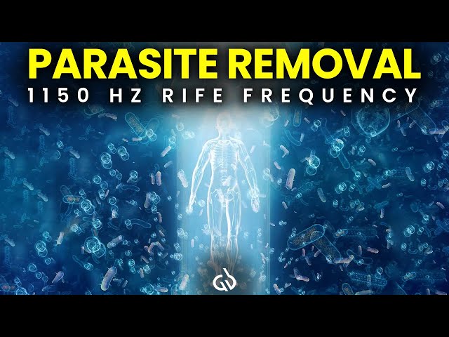 Parasite Removal Frequency: 1150 Hz Rife Frequency to Cleanse Parasites