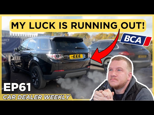 Car Auctions VS Private Sellers: The Winner Is Clear! | BM Weekly Ep 61