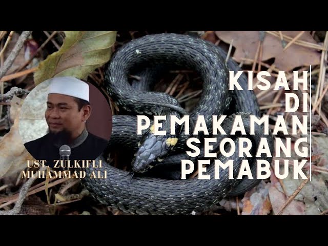 Ngeri!! Kisah Di Pemakaman Seorang Pemabuk / Kisah Nyata / Ust. Zulkifli Muhammad Ali #viral #islam