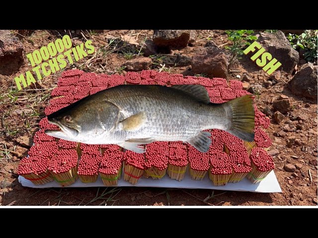 Experiment:100000 matchsticks vs fish|| matchsticks chain reactions||destroyexperiments||experiments