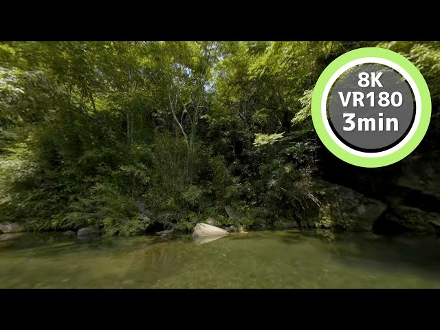 3 Min Meditation Summer river and nature sounds VR180 8K Binaural ASMR