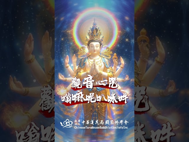 🙏【觀音心咒】🙏：嗡嘛呢叭咪吽，又稱六字真言、六字大明咒，源於梵文，象徵一切菩薩慈悲加持。因其內涵奧妙，蘊藏大能量大智慧大慈悲，從而成為佛教最常見真言。誠心念修此心咒，可得無量功德、無盡利益。