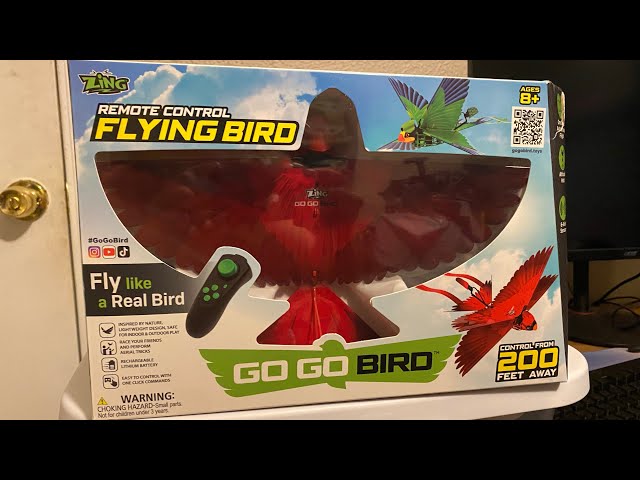 Zing Go Go Bird- unboxing and first flight- RC Cincy