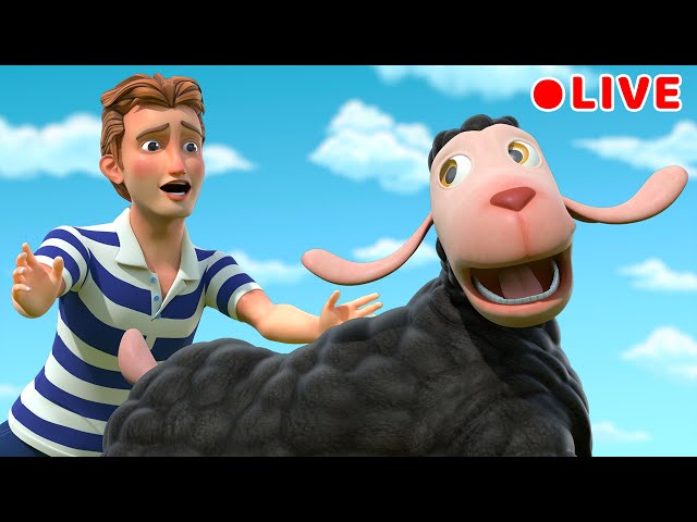 Baa Baa Black Sheep | Sheep Song | Beep Beep Kids Songs & Nursery Rhymes