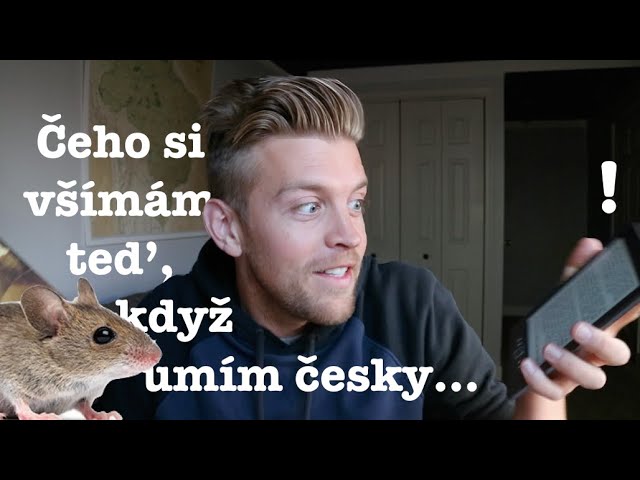 ČEHO SI VŠÍMÁM TEĎ, KDYŽ UMÍM ČESKY