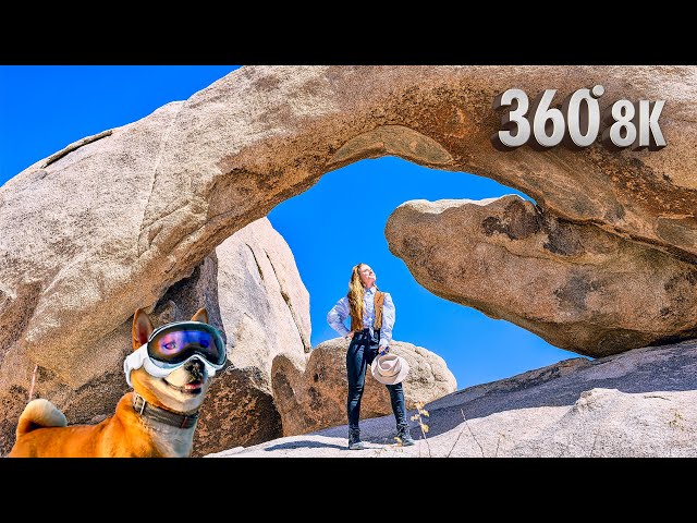 Explore Joshua Tree & Pioneertown in 8K 360° | Shot on Insta360 X4 for Vision Pro & Quest 3