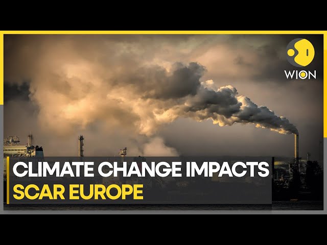 Europe warming twice as fast as other continents: WMO | WION Climate Tracker