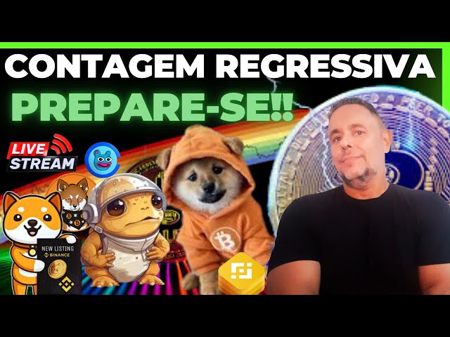 🔴URGENTE🔥MUITOS AINDA DUVIDAM E VÃO PERDER!! ALTICOINS MEMECOINS PRONTAS PRA BULL!! BTC 100K ?