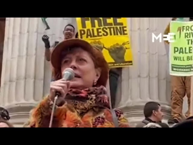 Talent Agency DROPS Susan Sarandon Over Pro-Palestinian Rally Speech