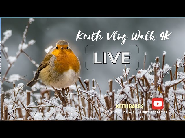 📌It's a cold day from my window 😎✌️🇬🇧 #keithvlog4k #keithbailes #vlogs #winter