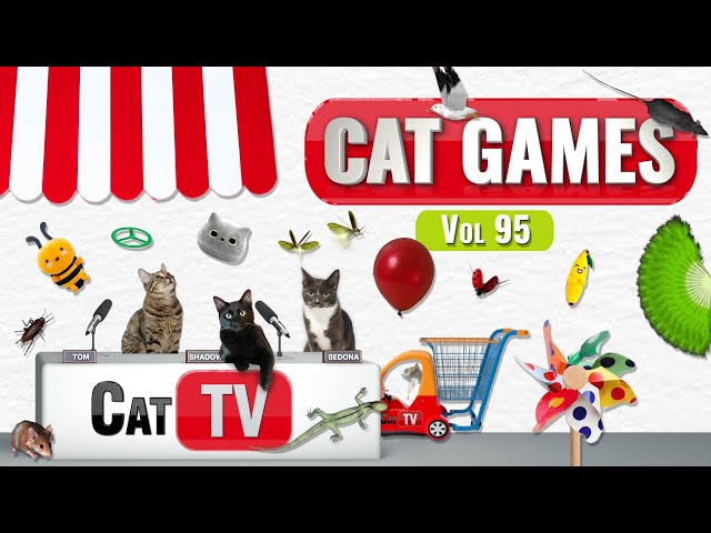 CAT Games | Ultimate Cat TV Compilation Vol 95 | 4 HOURS  🐝🐞🦋🦎🦜🐜🐭🧵