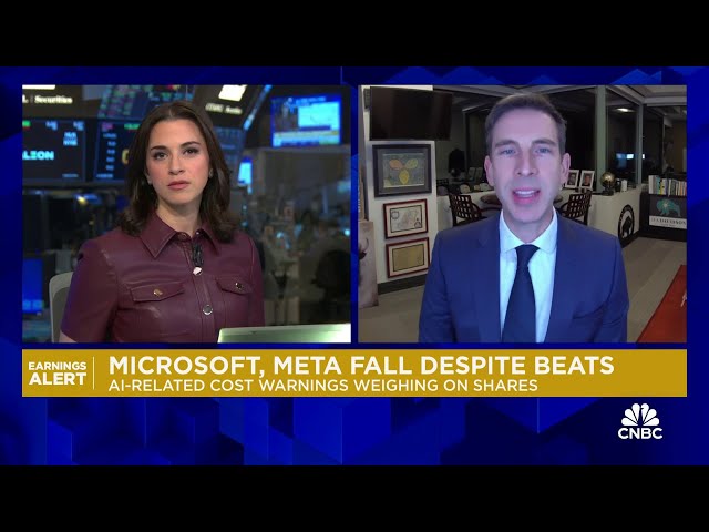 Meta already benefitting from AI but Microsoft still 'needs to find gold,' says DA Davidson's Luria