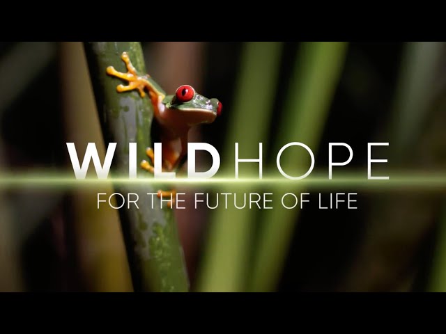 Season 2 Trailer | WILD HOPE