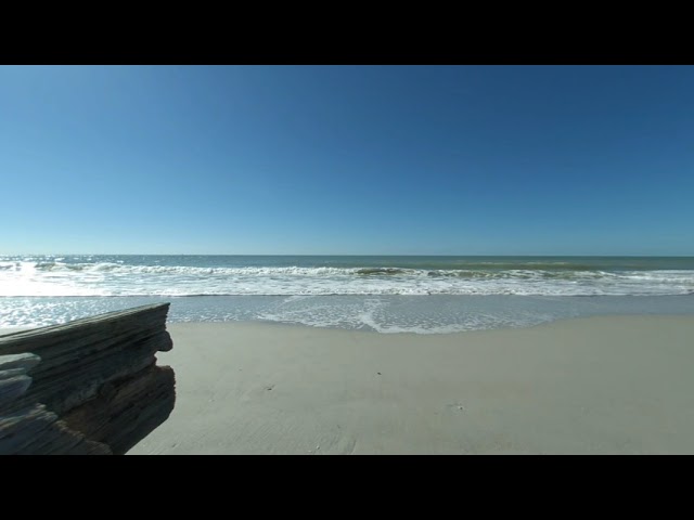 Naples Florida Beach VR180 3D