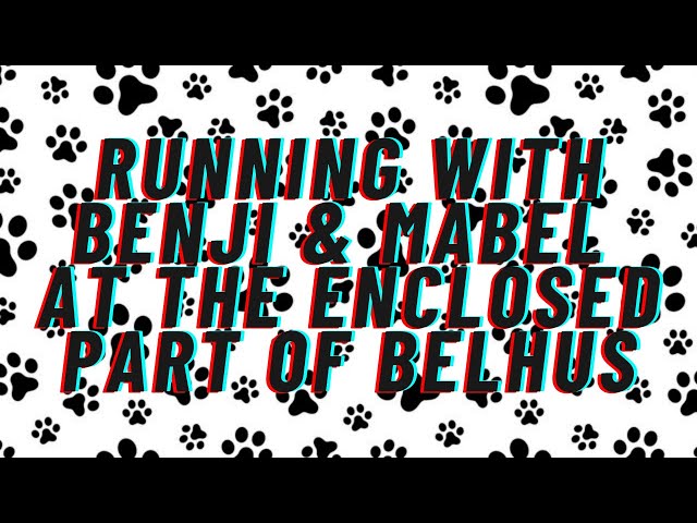 🐕 Running With Benji & Mabel at the Enclosed Part of Belhus