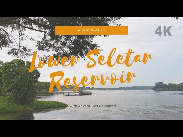 Rainy Afternoon at Lower Seletar Reservoir | 4K ASMR Walk (for calm, relaxation and meditation)