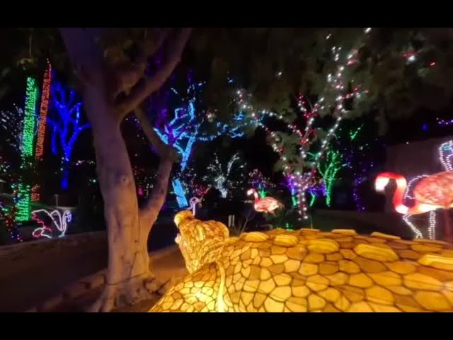 Cruise through Phoenix ZooLights this holiday season