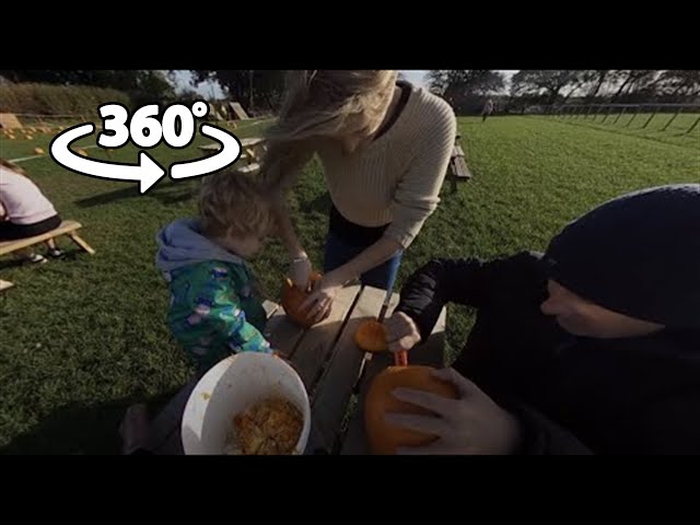 360 VR - A Day at Boston Park Farm 2022 (Part 2)