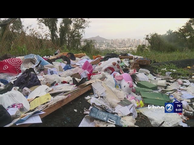 Illegal dumping an 'eyesore' for Tantalus area residents