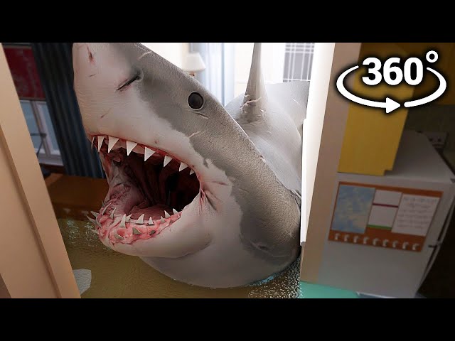 Megalodon 360° - IN YOUR HOUSE!