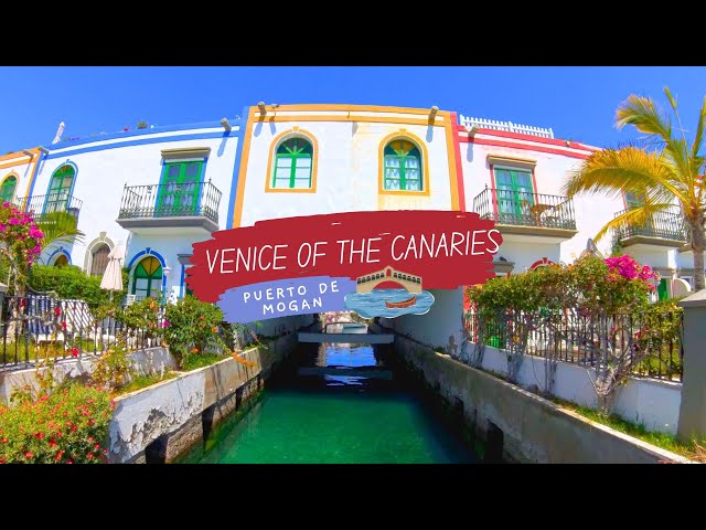 Little Venice, Canary Islands (Puerto de Mogán) in 4K #grancanaria #village